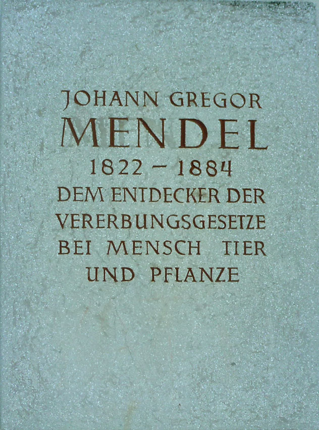 Mendel Gedenktafel